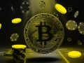 Instant verification systems used in crypto casino ecosystems
